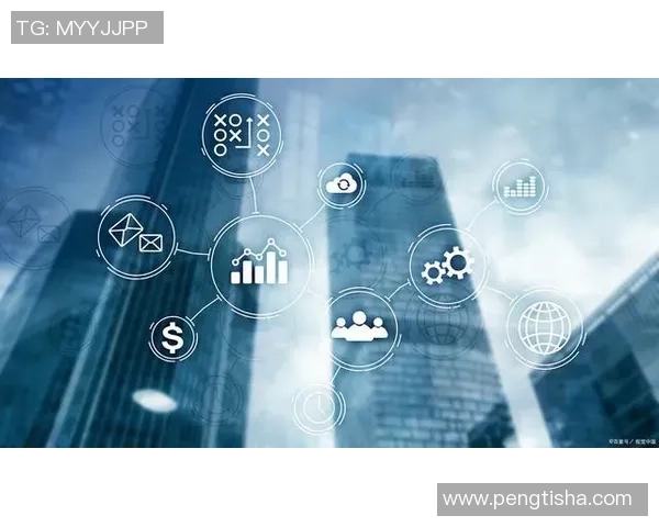 龙门国际数字运营平台助力企业数字化转型与创新发展新机遇